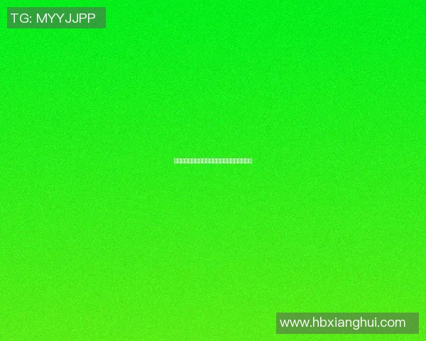 篮球明星杨幂的传奇之路与赛场外的多重身份揭秘