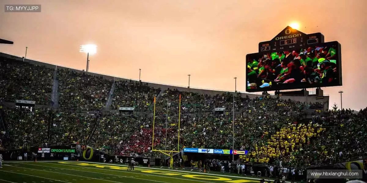 运动装备一站式，品质与颜值并存！🛒🔥